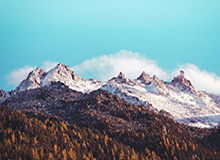 九游-星空.综合体育——点燃运动激情的新选择