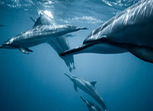 九游-星空.综合体育——点燃运动激情的新选择